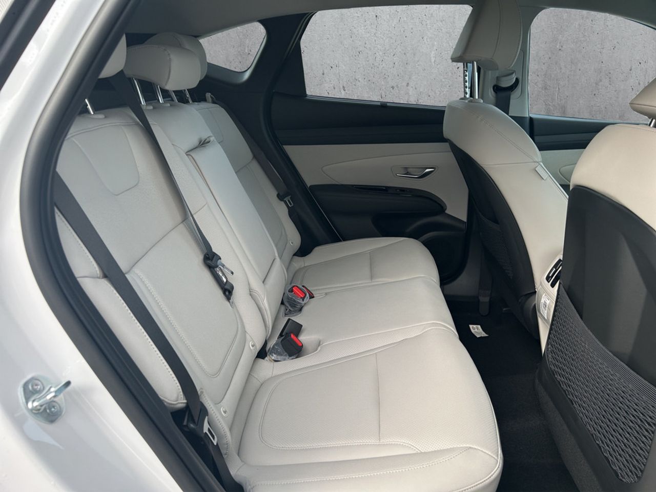 https://csb-strapi-files.fsn1.your-objectstorage.com/inventory-cars/images/a9d4f3f1a6fb06614eff3632acf51bf93000b370/19_1280_4987.jpg